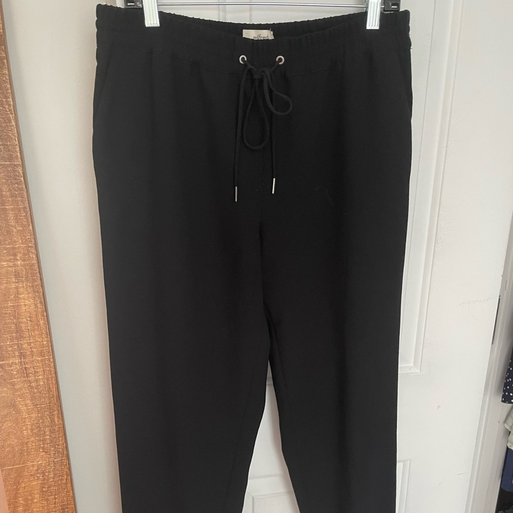 Aritzia Silky Joggers